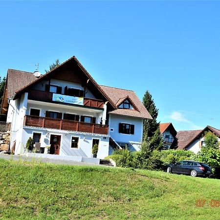 Appartement Haus Lebensfreude à Unterlamm  Extérieur photo